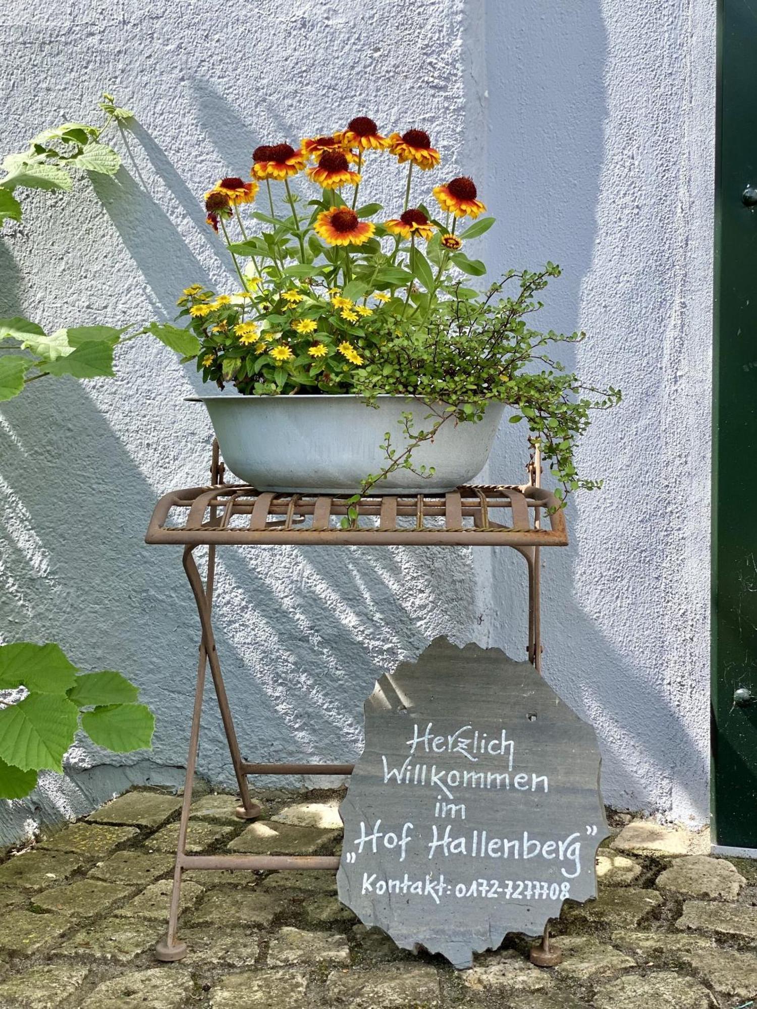 Hof Hallenberg Exterior foto
